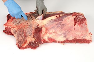 Meat Cut Spec Step 5